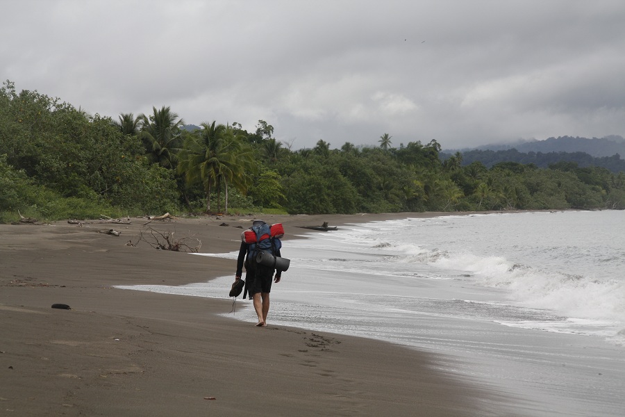 Caminatas por la selva